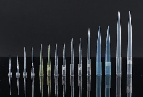Puntali per pipette filtrati monouso in polipropilene 200ul per laboratorio