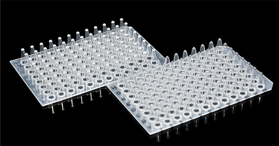 Consumabili per PCR senza bordo Piastra per PCR da 0,1 ml a 96 pozzetti per laboratorio