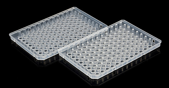 Consumabili PCR CE 0,1 ml Piastra PCR semi bordata da 96 pozzetti trasparente