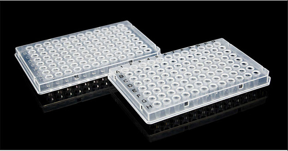 Consumabili PCR CE 0,1 ml Piastra PCR semi bordata da 96 pozzetti trasparente