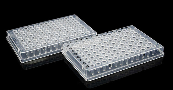 Materiali di consumo per PCR Full Skirt 0,1 ml UV Trasparente Piastra a 96 pozzetti usa e getta