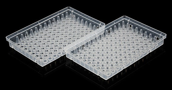 Materiali di consumo per PCR Full Skirt 0,1 ml UV Trasparente Piastra a 96 pozzetti usa e getta