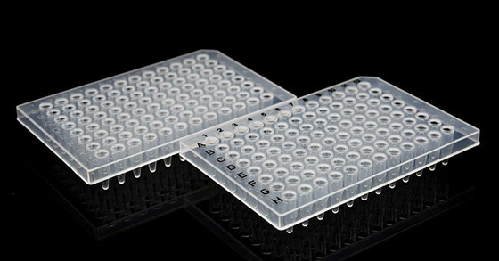 Piastra per PCR da 0,2 ml Piastra di reazione per PCR a 96 pozzetti con bordo semibordato