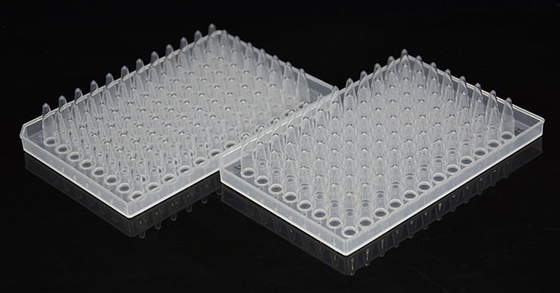 Piastra per PCR da 0,2 ml Piastra di reazione per PCR a 96 pozzetti con bordo semibordato