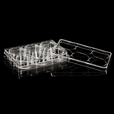 ISO13485 Materiali di consumo per PCR in polistirene Piastra per coltura cellulare a 6 pozzetti