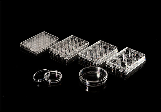 ISO13485 Materiali di consumo per PCR in polistirene Piastra per coltura cellulare a 6 pozzetti