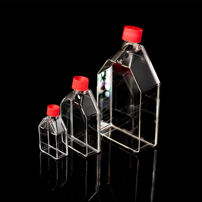 Materiali di consumo sterili monouso per PCR Pallone per coltura tissutale da 25 cm2