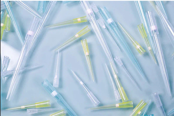 Puntali per pipette con filtro a bassa ritenzione da laboratorio 300ul senza DNAse
