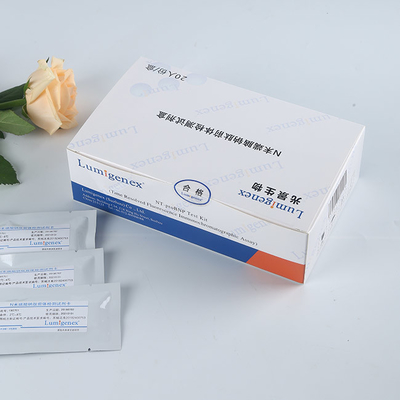 Kit di test rapido NT-proBNP per anticorpi ad alta sensibilità 20 test/scatola